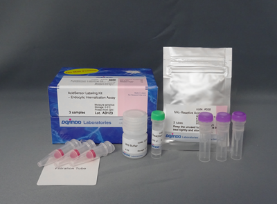 AcidSensor Labeling Kit – Endocytic Internalization Assay