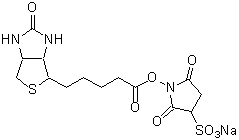 Biotin Sulfo-OSu