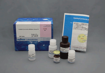 Cell Counting Kit-8 & Cytotoxicity LDH Assay Kit-WST