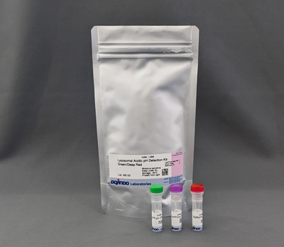 Lysosomal Acidic pH Detection Kit-Green/Deep Red